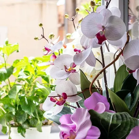 Le Flore
